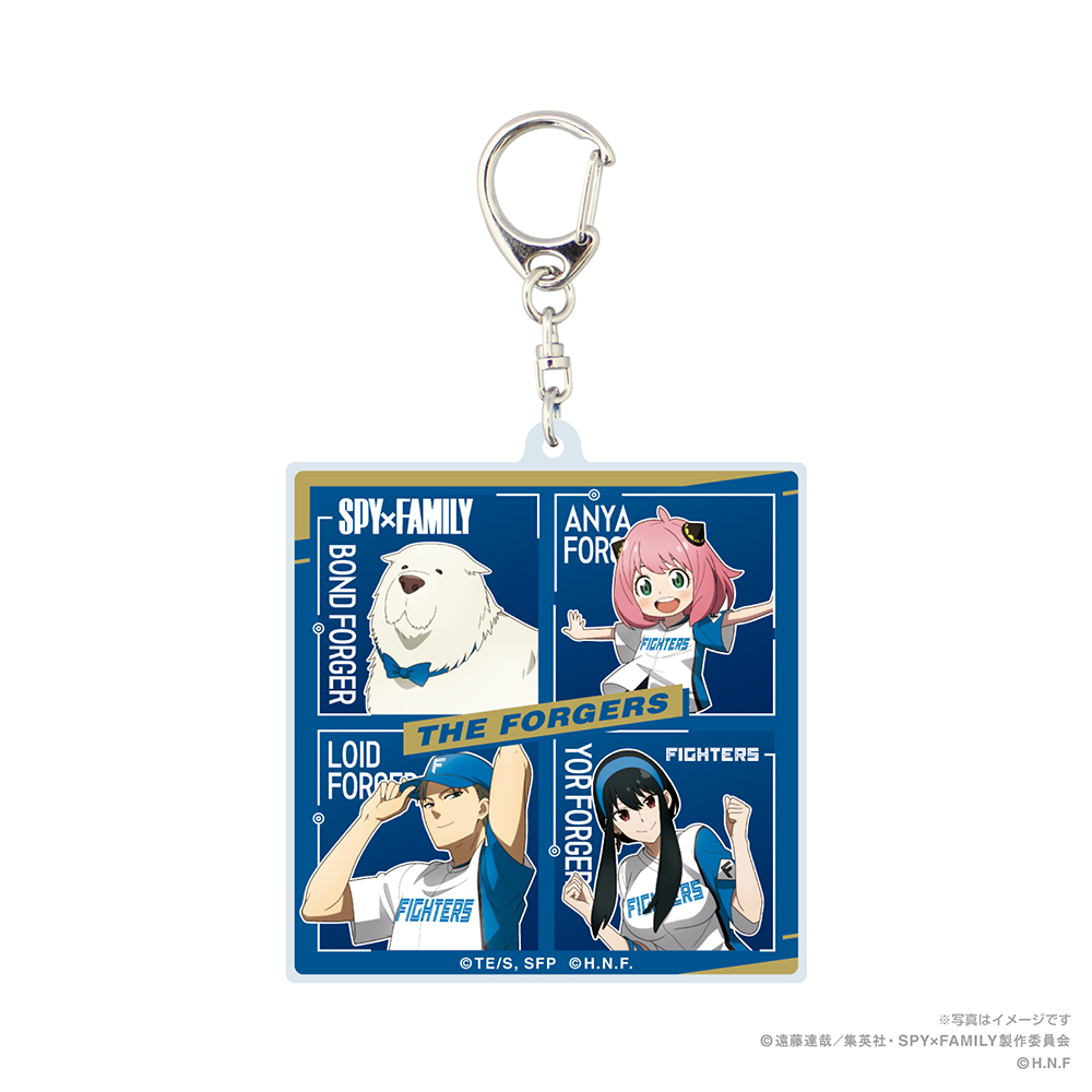 お得な特別割引価格 日本ハムファイターズ キーホルダー Www Anavara Com